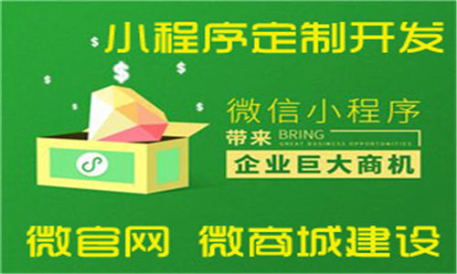 張家口網(wǎng)絡(luò)公司以創(chuàng)新軟件外包服務(wù)贏得客戶滿意